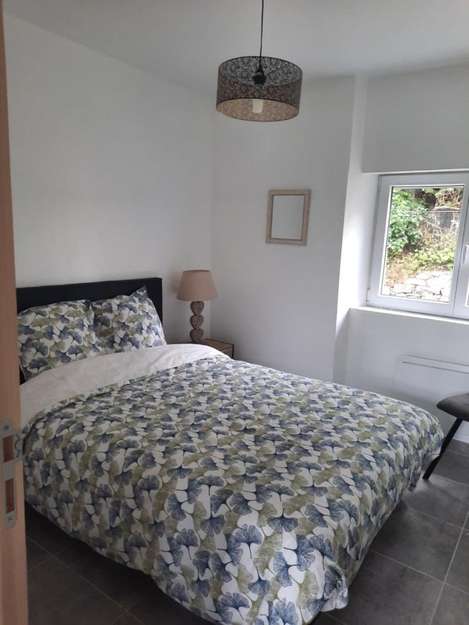 Chez Line Et Pierre: Appartement Spacieux, Lumineux Et Equipe La Bastide-de-Sérou Exterior foto